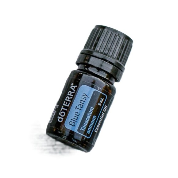 Do TERRA Blue Tansy Essential Oil - 5mL Bottle - Picture 1 of 4